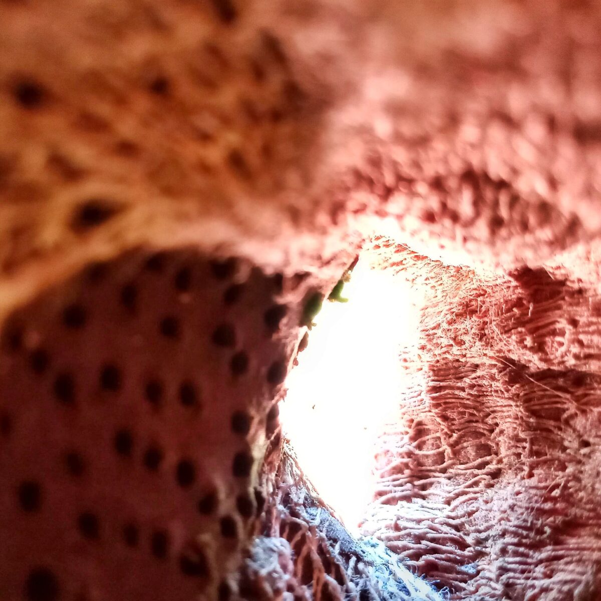 Img 20211016 130956 743